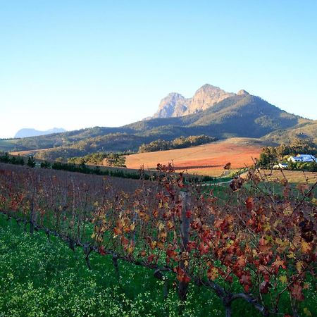 Marianne Wine Estate Bed & Breakfast Stellenbosch Dış mekan fotoğraf