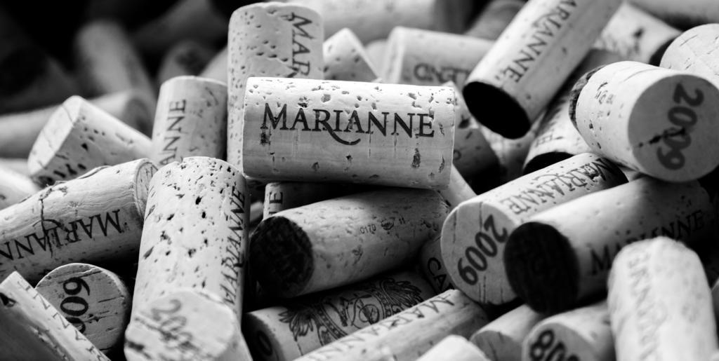 Marianne Wine Estate Bed & Breakfast Stellenbosch Dış mekan fotoğraf