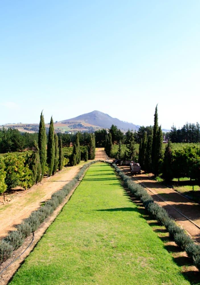 Marianne Wine Estate Bed & Breakfast Stellenbosch Dış mekan fotoğraf