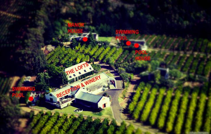 Marianne Wine Estate Bed & Breakfast Stellenbosch Dış mekan fotoğraf