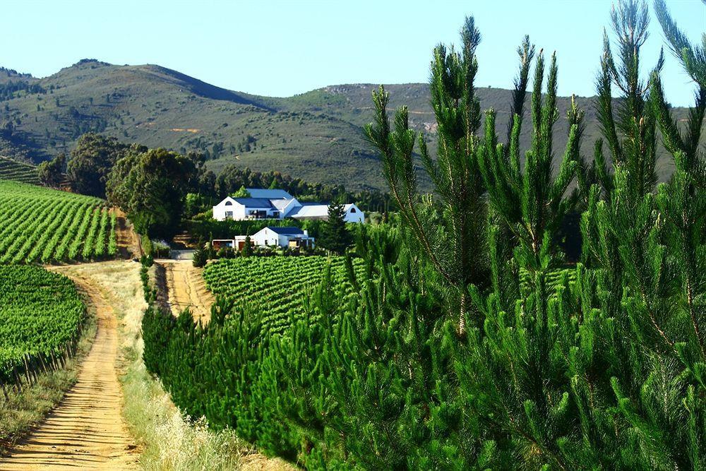 Marianne Wine Estate Bed & Breakfast Stellenbosch Dış mekan fotoğraf