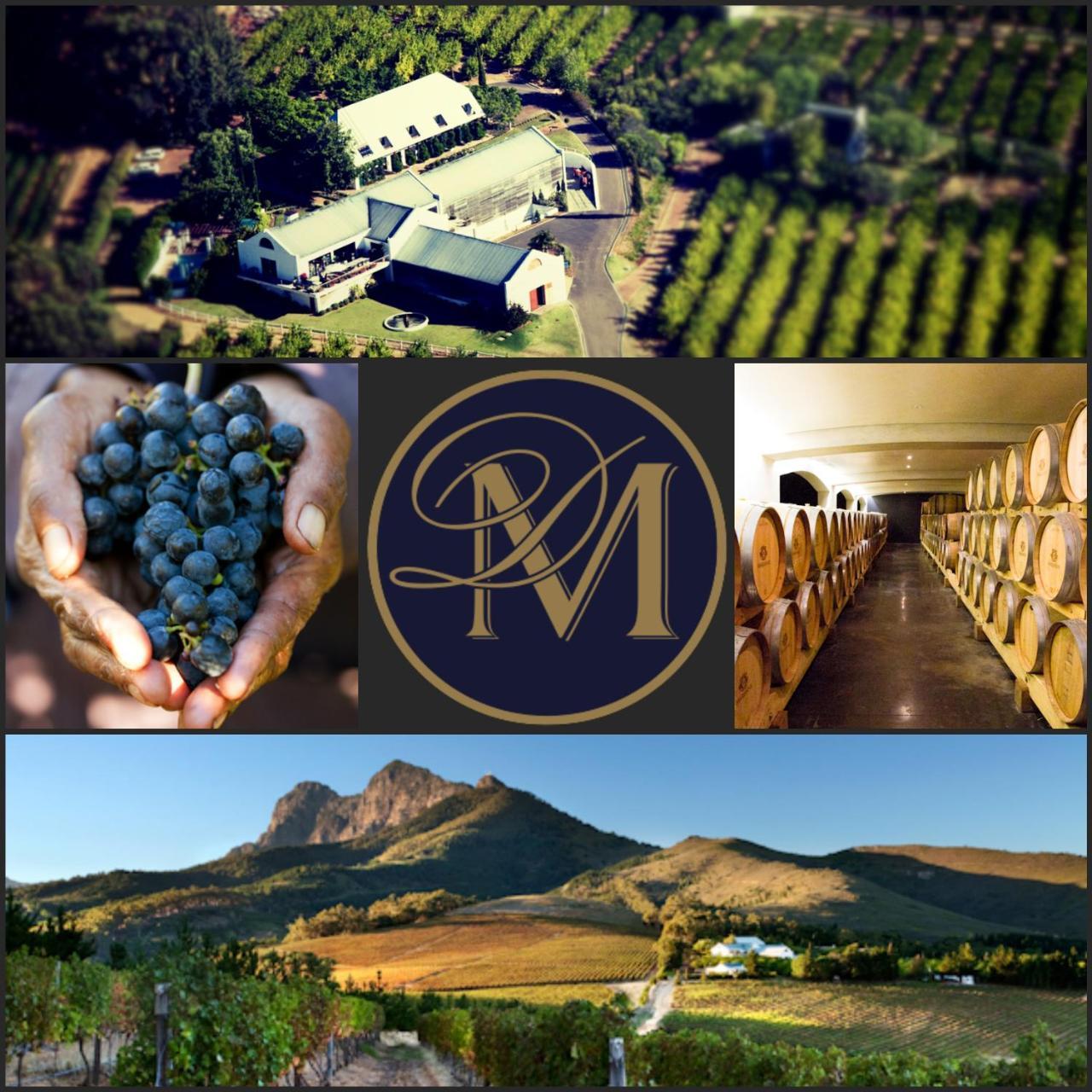 Marianne Wine Estate Bed & Breakfast Stellenbosch Dış mekan fotoğraf