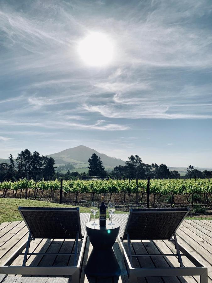 Marianne Wine Estate Bed & Breakfast Stellenbosch Dış mekan fotoğraf