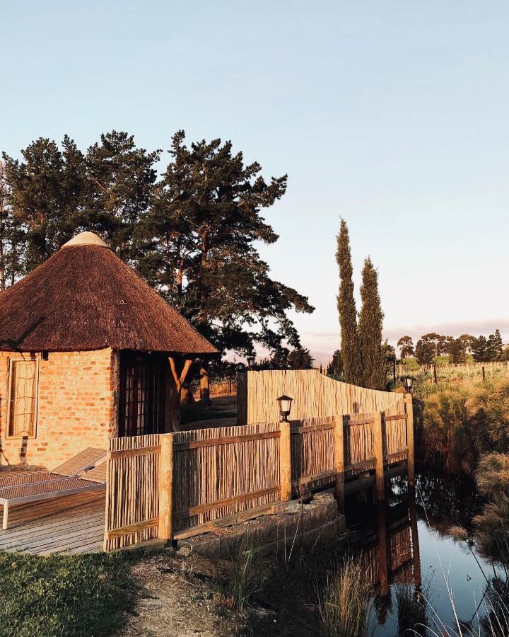 Marianne Wine Estate Bed & Breakfast Stellenbosch Dış mekan fotoğraf